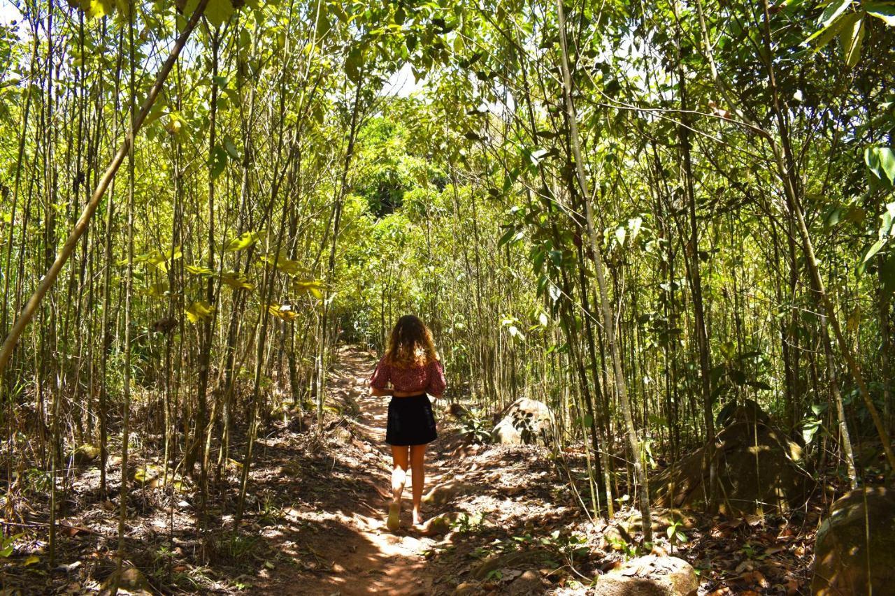 Bosque Guardian Lodge Tarapoto Bagian luar foto
