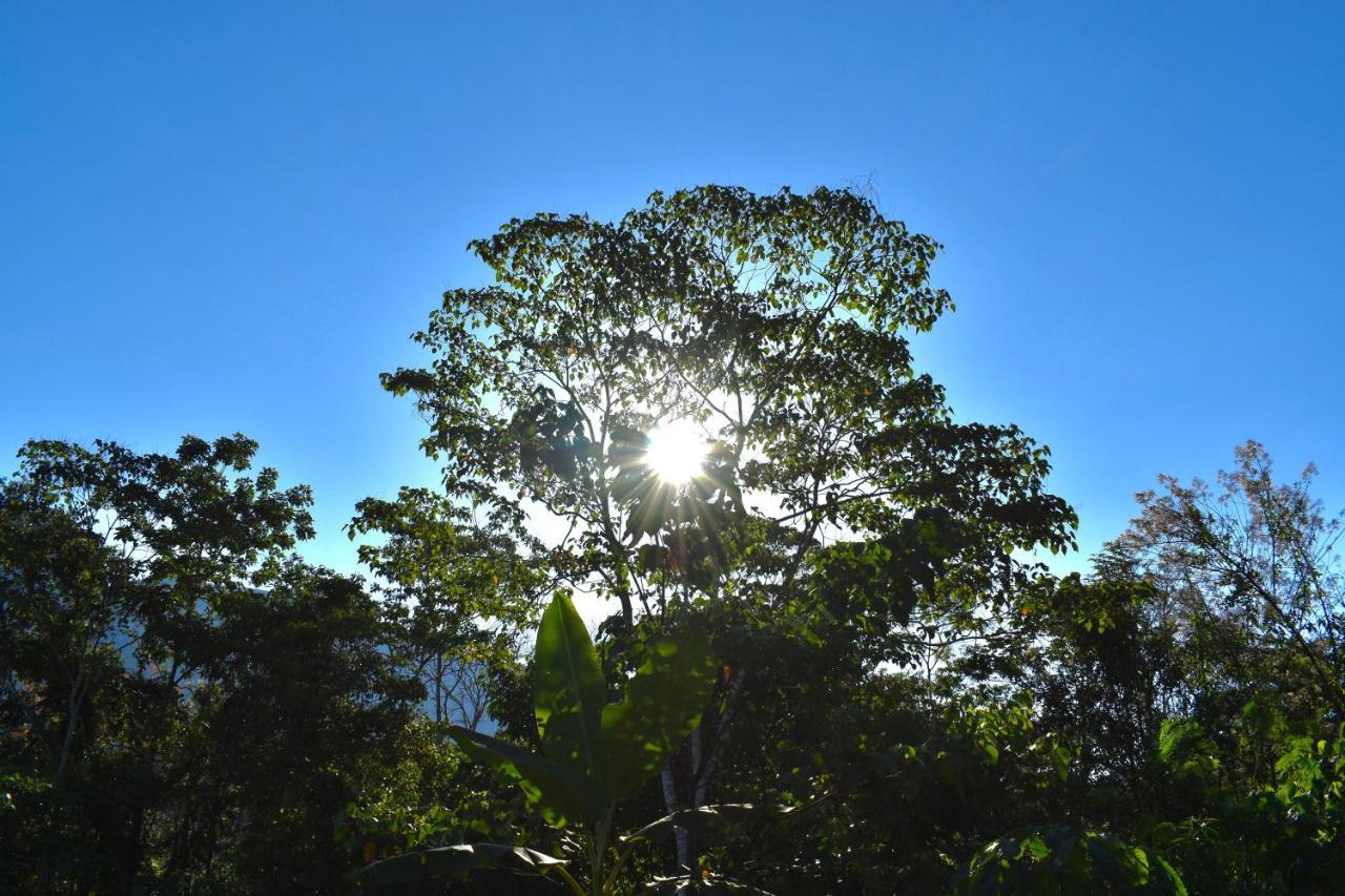 Bosque Guardian Lodge Tarapoto Bagian luar foto