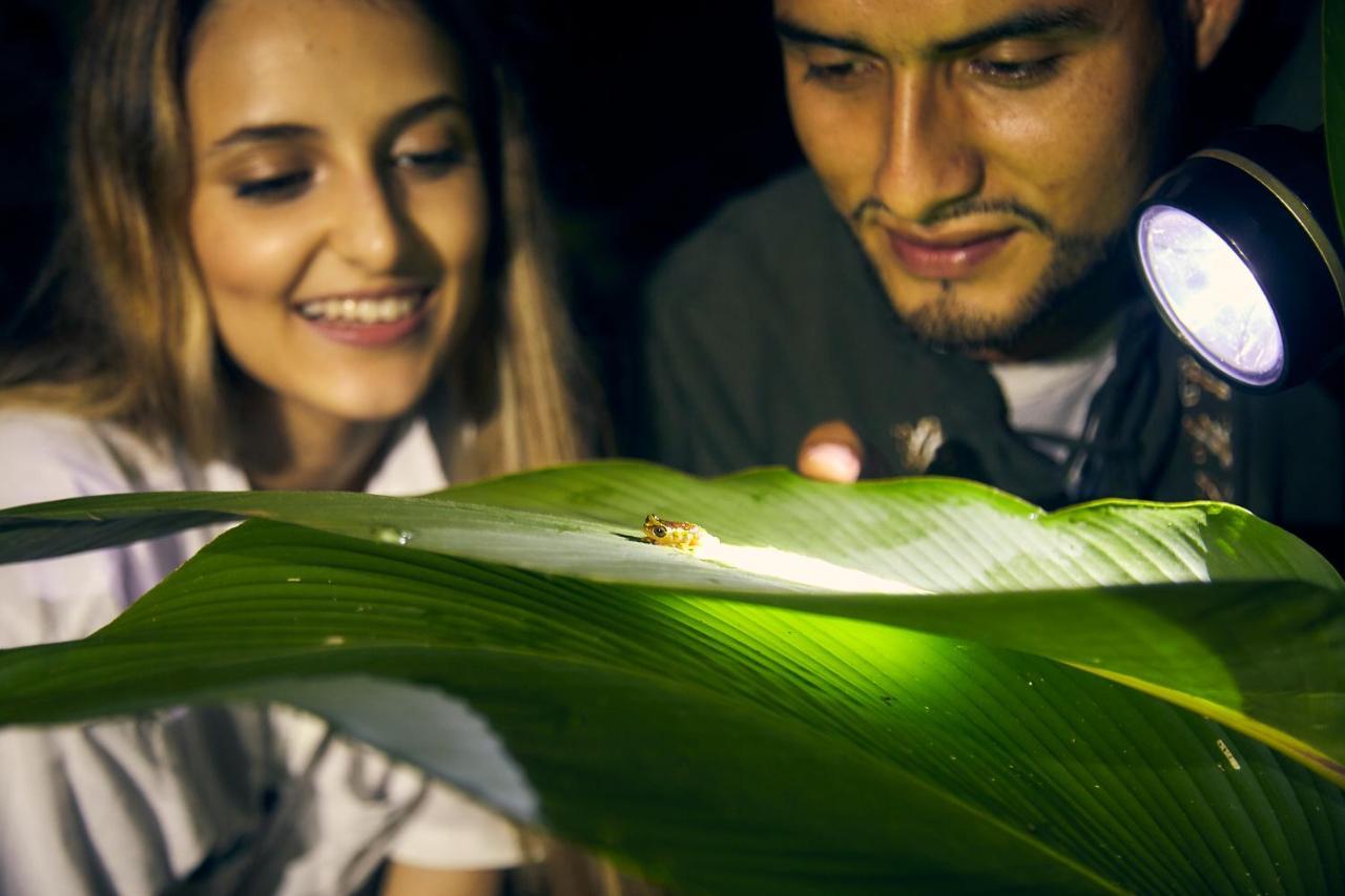 Bosque Guardian Lodge Tarapoto Bagian luar foto