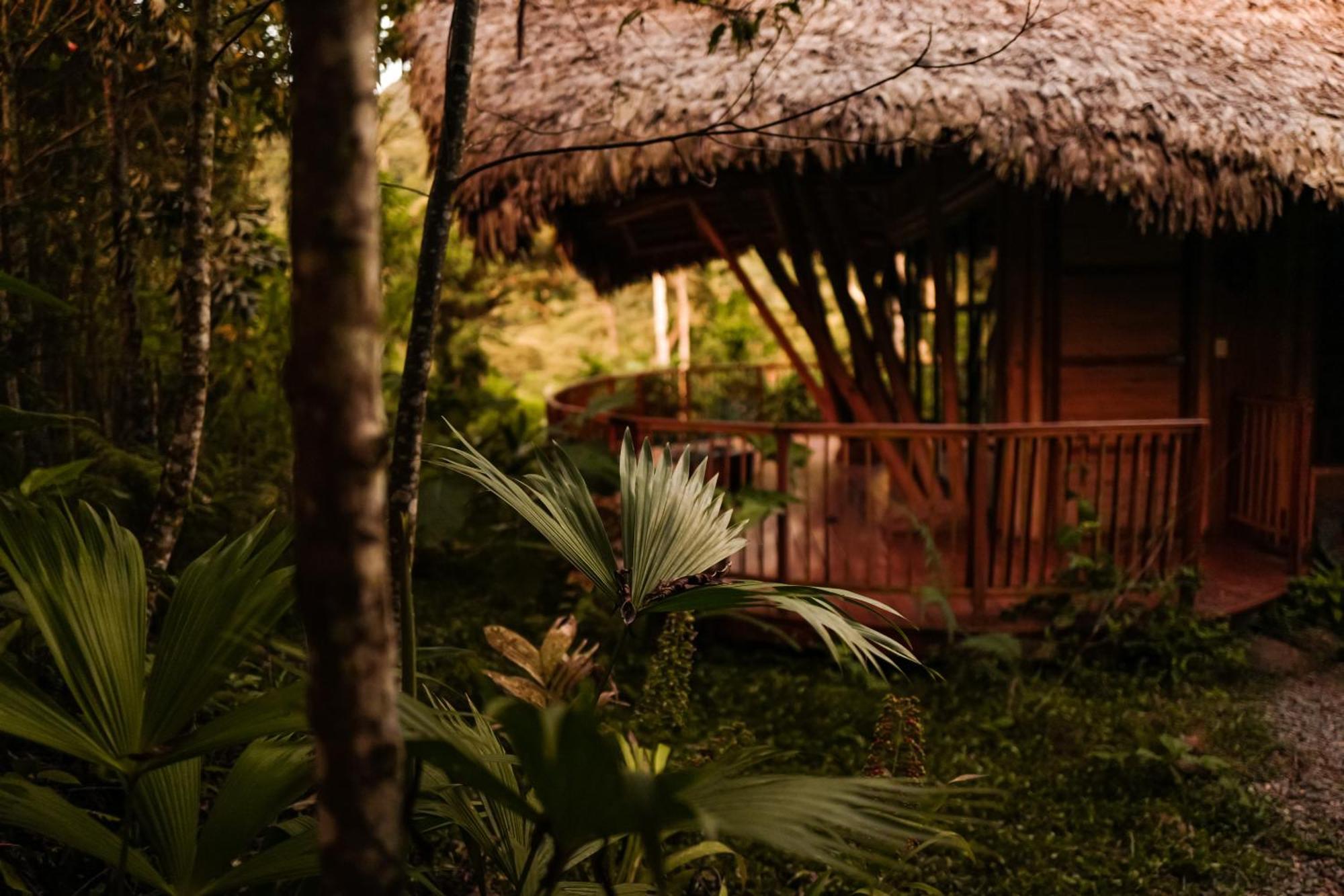 Bosque Guardian Lodge Tarapoto Bagian luar foto
