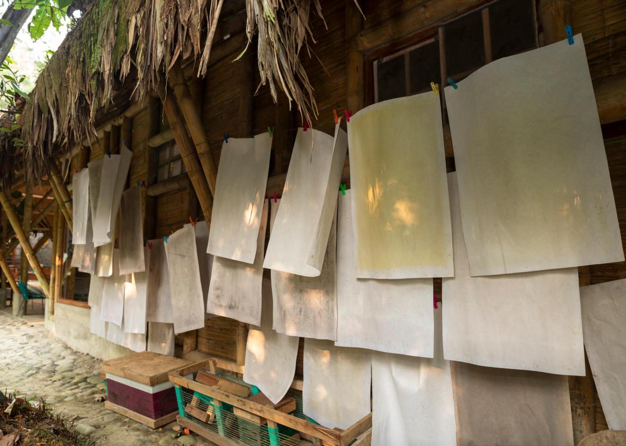 Bosque Guardian Lodge Tarapoto Bagian luar foto