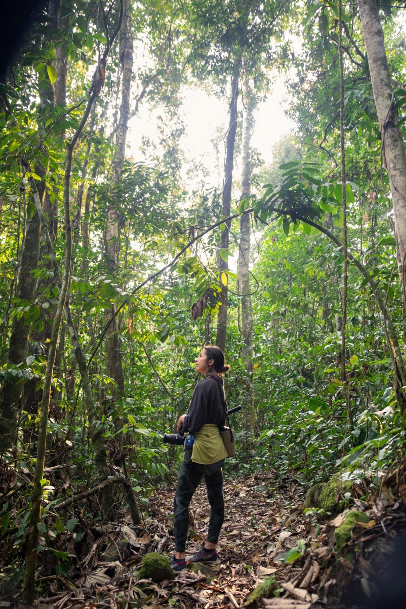 Bosque Guardian Lodge Tarapoto Bagian luar foto