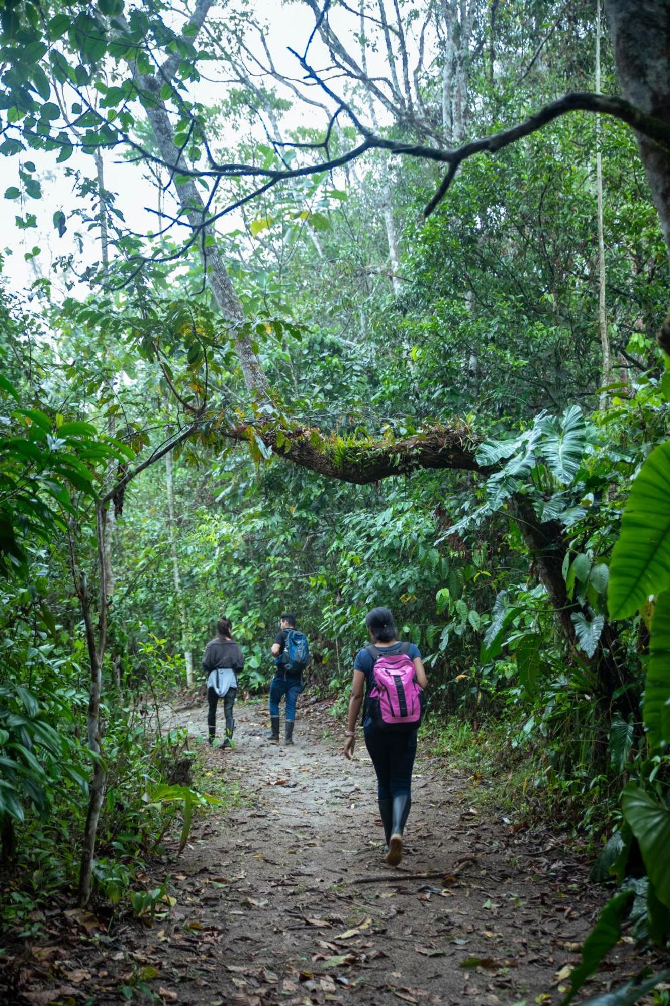 Bosque Guardian Lodge Tarapoto Bagian luar foto