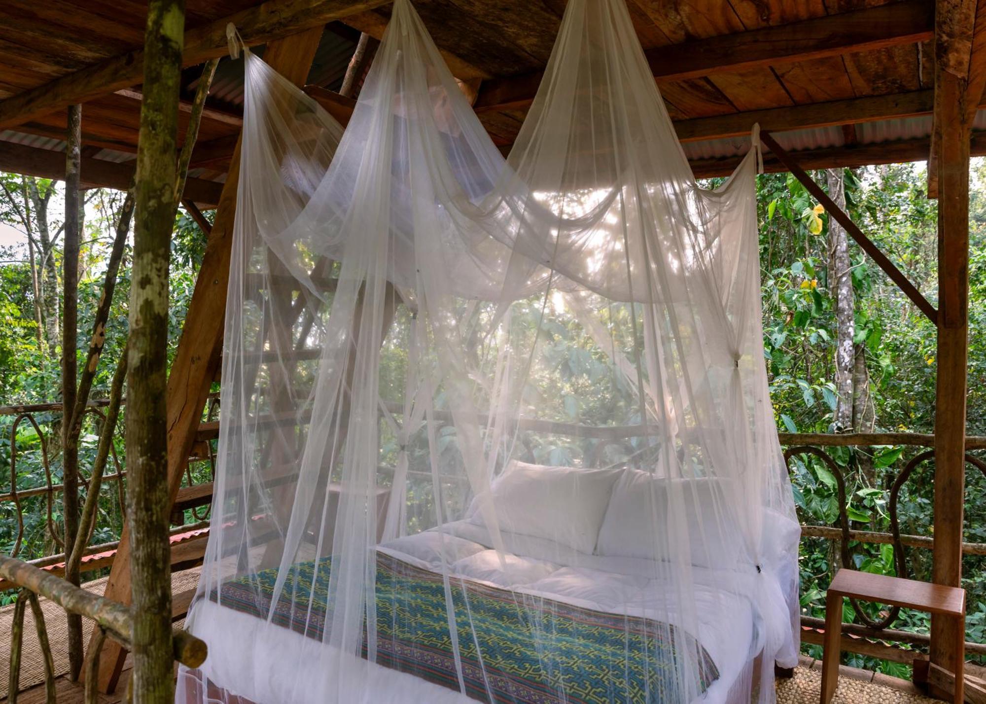 Bosque Guardian Lodge Tarapoto Bagian luar foto
