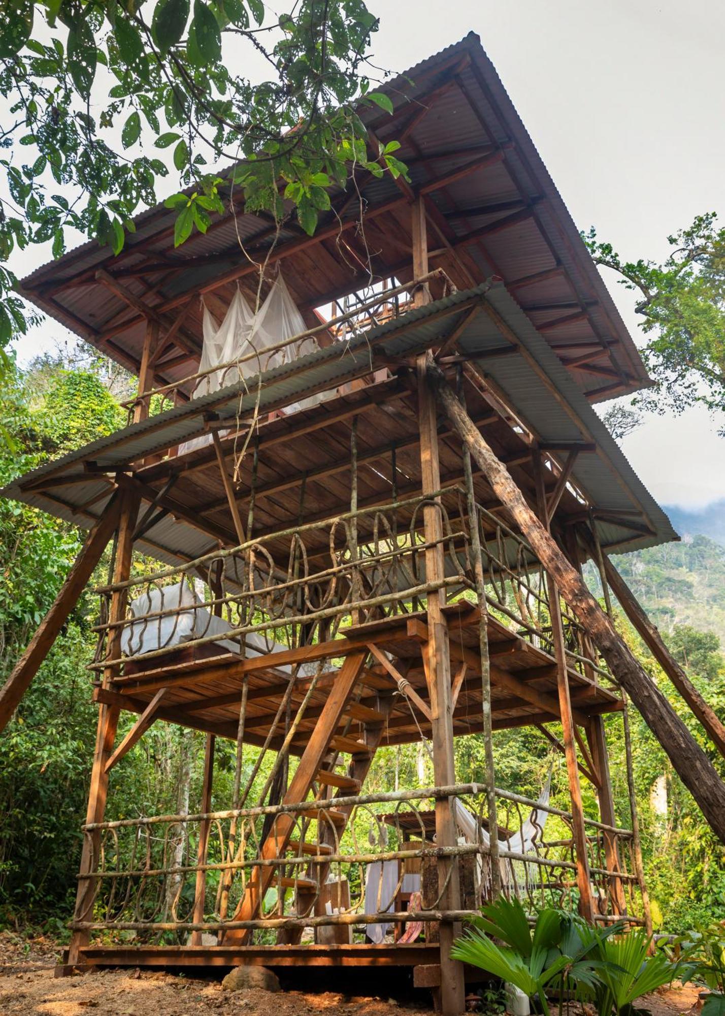 Bosque Guardian Lodge Tarapoto Bagian luar foto