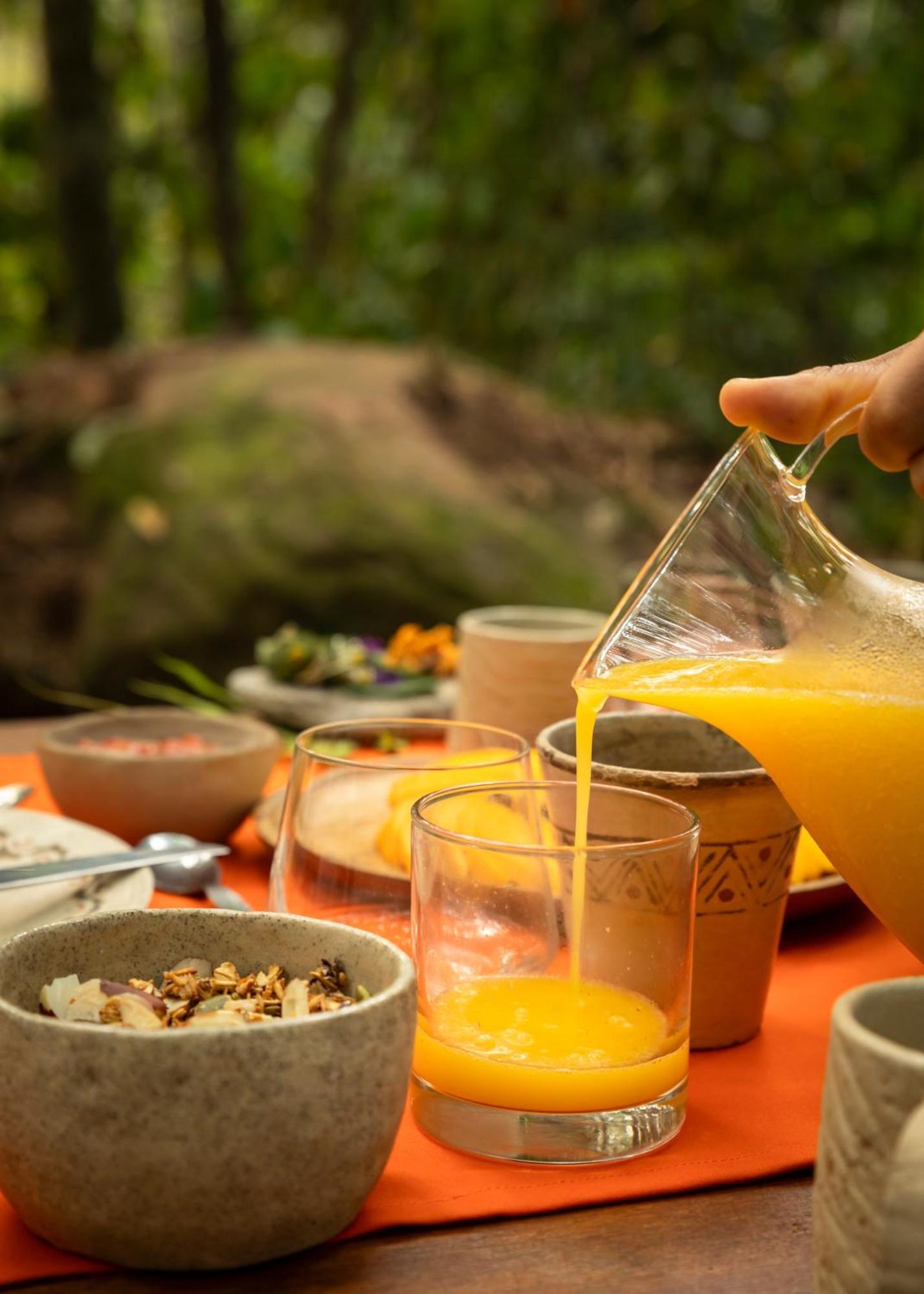Bosque Guardian Lodge Tarapoto Bagian luar foto