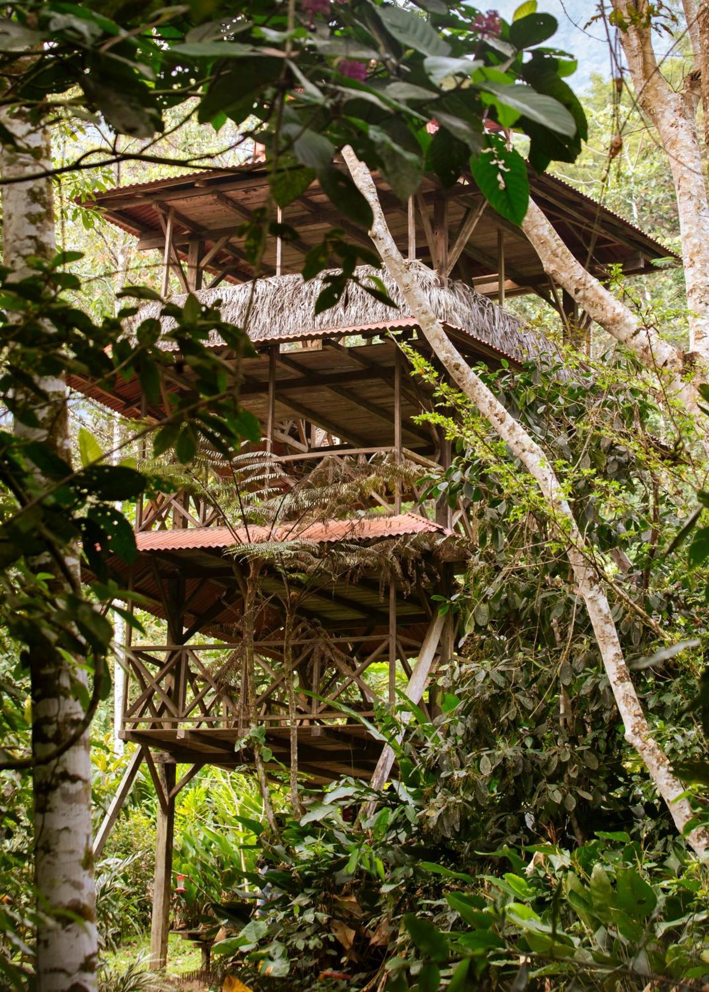 Bosque Guardian Lodge Tarapoto Bagian luar foto