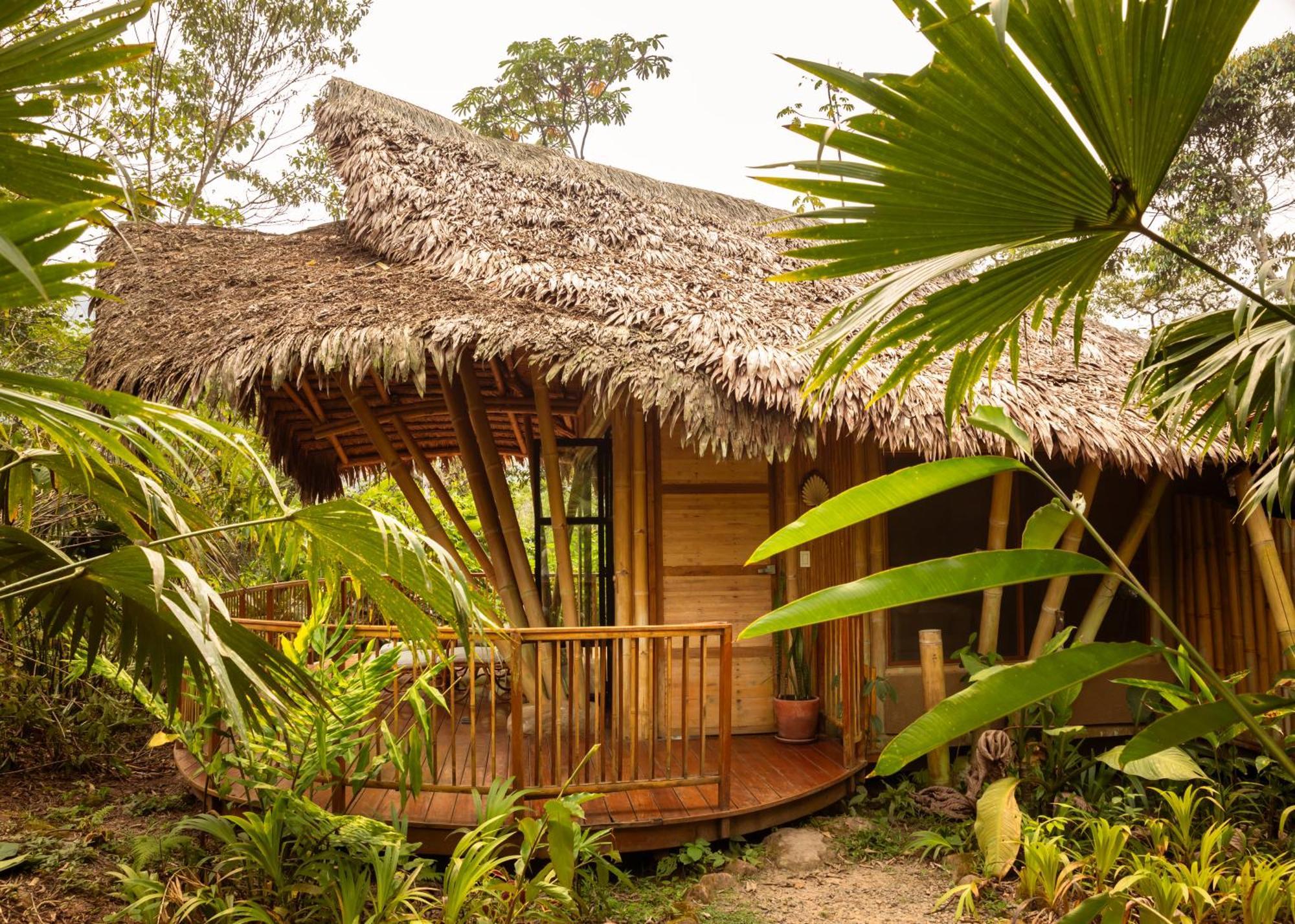 Bosque Guardian Lodge Tarapoto Bagian luar foto
